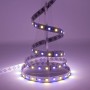 Kit ruban LED RGB+WW 60LED/m 2m50 avec contrôleur RF multizone 220V