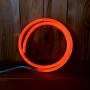 Néon LED flexible rouge 220V direct étanche. Vendu au mètre