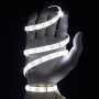 Kit ruban LED CCT 2en1 blanc variable 120LED/m étanche 2m50 contrôleur multizone 220V