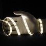 Ruban LED CCT blanc variable 12V 120LED/m 2en1 2m50 PREMIUM