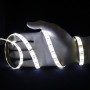 Ruban LED CCT blanc variable 12V 120LED/m 2en1 2m50 PREMIUM