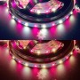 KIT ruban LED RGB+CCT batterie 4200mAh 5m multicolore et blanc variable