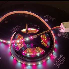 Ruban LED RGB+CCT 2m50 multicolore et blanc variable 12V