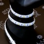 Kit bande LED CCT blanc variable 120LED/m 2en1 étanche 5m contrôleur RF avec batterie 1800mAh