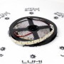  Ruban LED 12V 204LED/m blanc froid non-étanche
