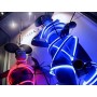Neon led flexible vitrine