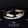 Ruban LED 12V 60LED/m bleu non-étanche