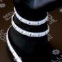  Ruban LED 12V 120LED/m CCT étanche