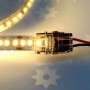  Ruban LED allumé avec le raccord rapide étanche