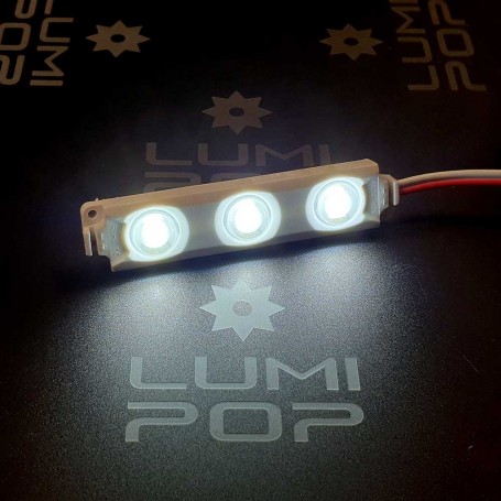 Module 3 LED de 0,72W blanc froid 6500K étanche 12V vendu à l'unité