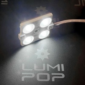 Module LED blanc froid étanche