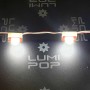 Chainette de 50 modules 1 LED de 0,36W blanc froid 6500K étanche 12V