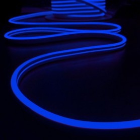 Néon LED Silicone 24V bleu