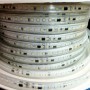 Ruban LED 220V direct blanc neutre 120LED/m. Vendu par 10cm