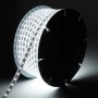 Ruban LED 220V direct blanc froid