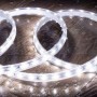 Ruban LED 220V extérieur blanc froid de 5m