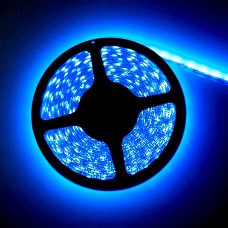 Led flexible bleu 2m50