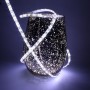 Ruban led CCT blanc froid