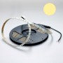 Ruban led flexible tuning moto blanc chaud