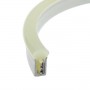Néon LED Bulbe RGB changement de couleur 24V étanche 3m. Qualité PREMIUM