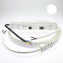 Néon LED flexible 3m blanc avec alimentation 220V étanche