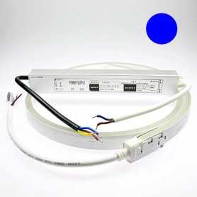 Néon LED flexible 5m bleu avec alimentation 220V étanche