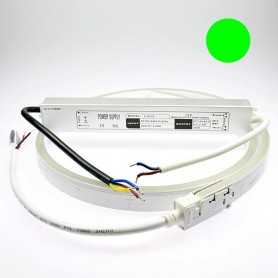 Néon LED flexible 2m vert avec alimentation 220V étanche