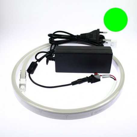 Néon LED flexible 3m vert avec alimentation 220V