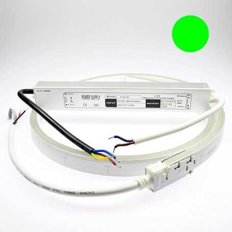 Néon LED flexible 10m vert avec alimentation 220V étanche