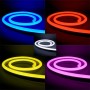 Kit néon LED bulbe RGB DMX 3m contrôleur 3 canaux 220V