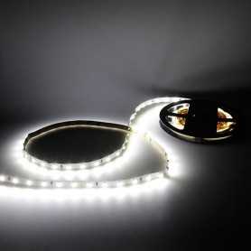 Bande LED blanche 60LED/m IP20 5m