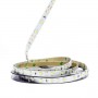 Bande LED orange 60LED/m IP20 5m