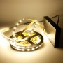 Kit bande LED blanc chaud 60LED/m IP20 2m50 avec boitier piles