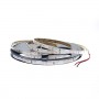Bande LED side verte 60LED/m étanche 5m