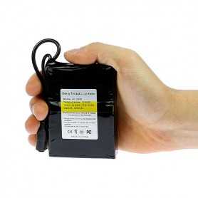 Mini batterie rechargeable 12V 4200mAh + chargeur