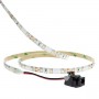 Led monochrome 2m50 avec connecteur jack à clipser
