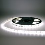 Kit bande led side blanche 60led/m étanche 5m 12V tuning auto