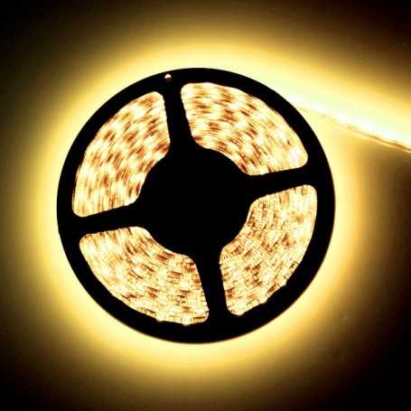 Led flexible blanc chaud 5m