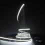 Bande led blanc froid 12V 204led/m IP20 5m