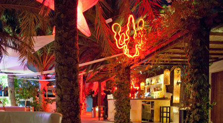 N&eacute;on led flexible lustre Pacha Club Ibiza