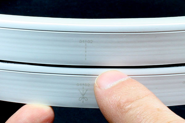 Section de coupe du néon led flexible