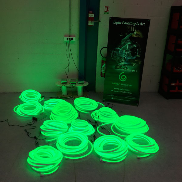 N&eacute;on led flexible Bulbe 24V sur le vert